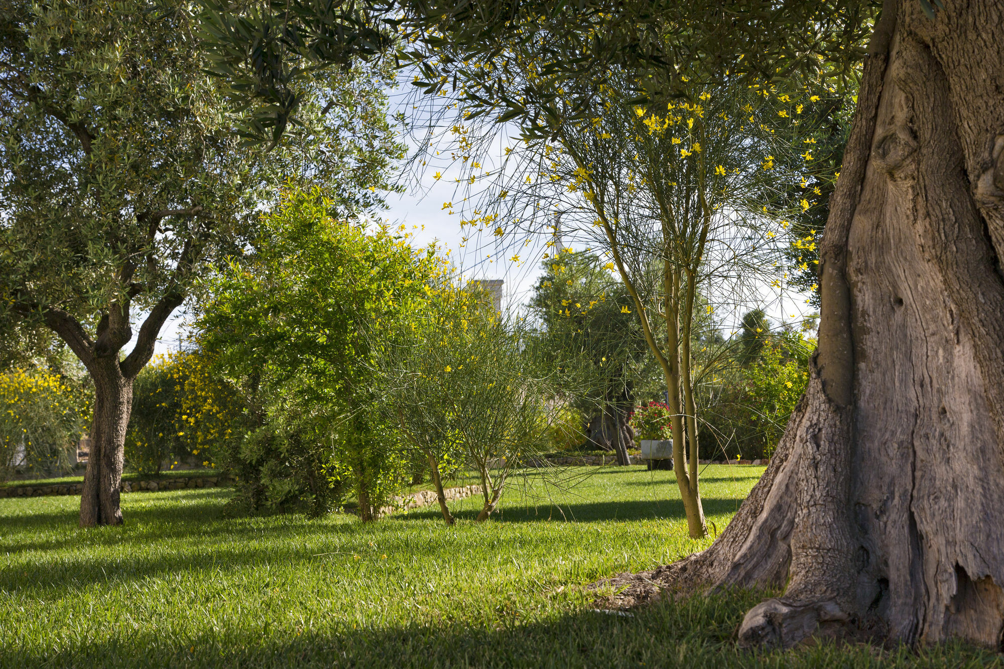Relais Masseria Caselli Carovigno Exterior photo